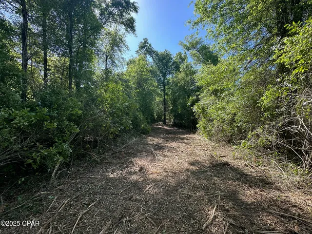 $67,000 | 0 Marcus Drive, Greenwood, FL 32443