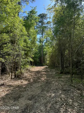 $59,120 | 0 Marcus Drive, Greenwood, FL 32443
