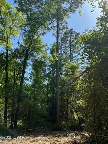 $67,000 | 0 Marcus Drive, Greenwood, FL 32443