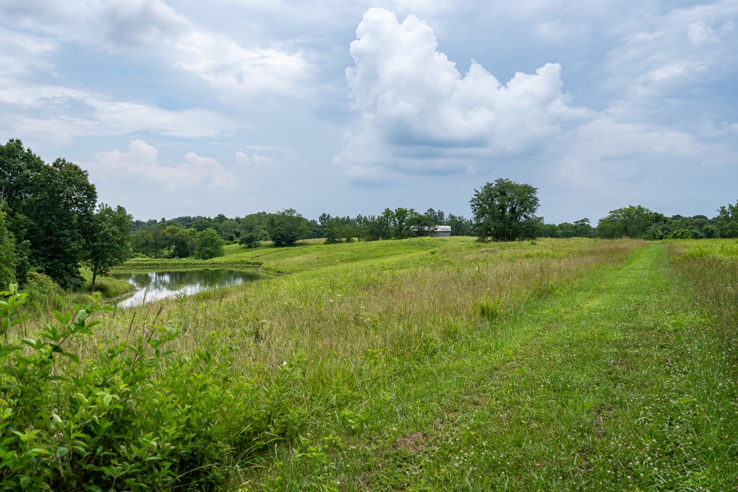 11315 Harlow Road West Bennington, IN 47011 - Photo 49 of 50