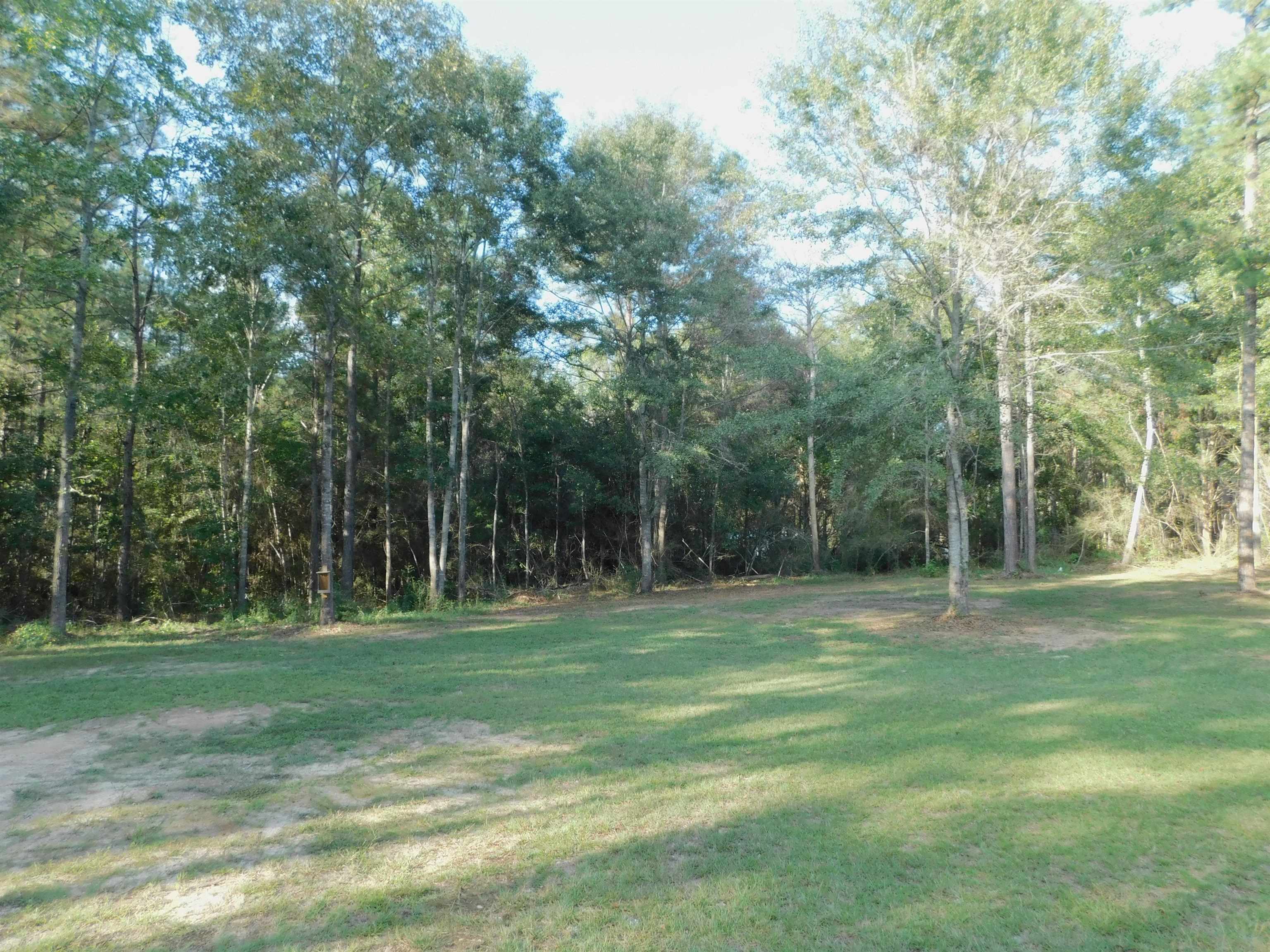 28315 Straughn School Road Andalusia, AL 36421 - Photo 15 of 20 Gallery Image 15