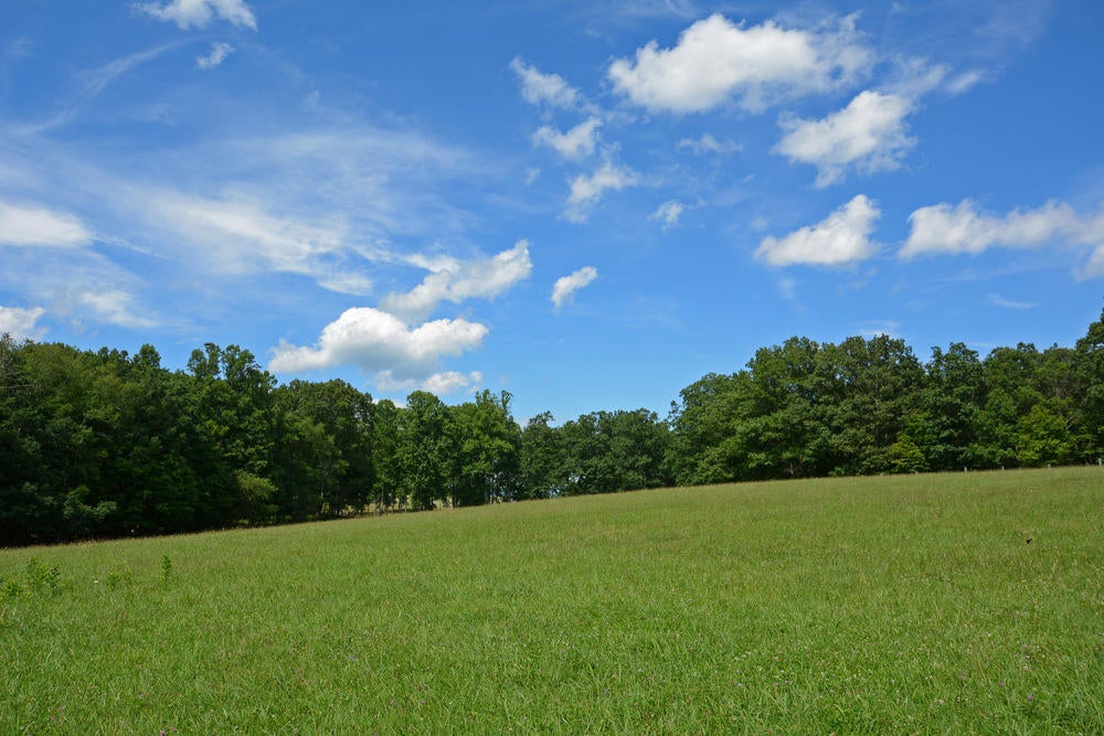 5225 Cornstalk Road Crawley, WV 24931 - Photo 27 of 44 Gallery Image 27
