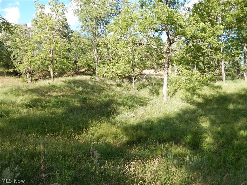 0 Moyers Run Road Harrisville, WV 26362 - Photo 3 of 22 Gallery Image 3