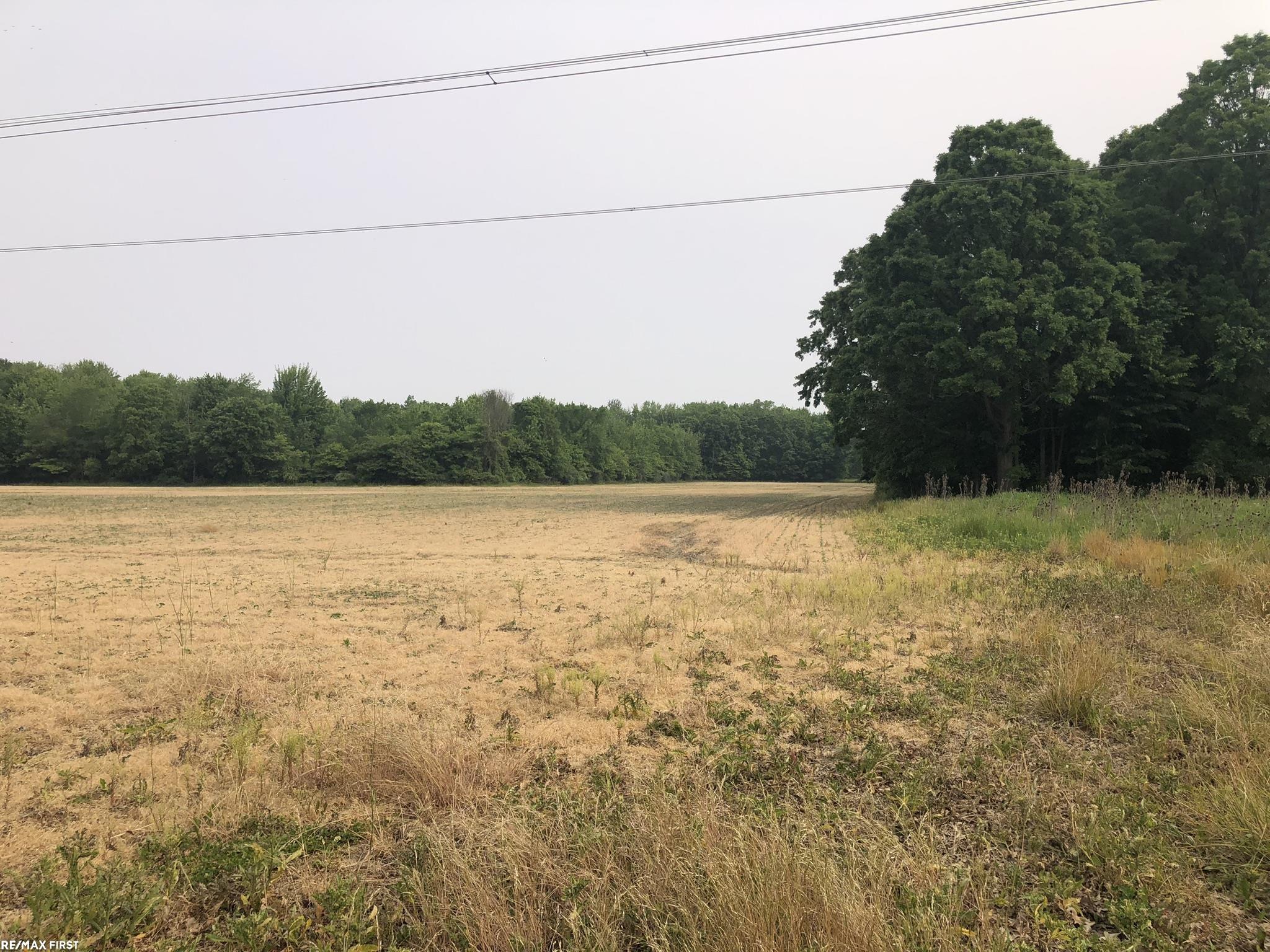 0 29 29 Mile Road New Haven, MI 48050 - Photo 19 of 38