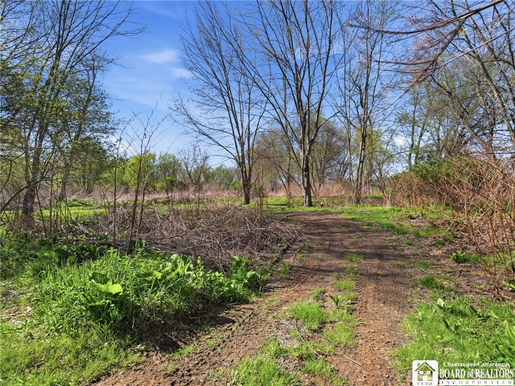335 East Riverside Drive Olean, NY 14760 - Photo 30 of 45
