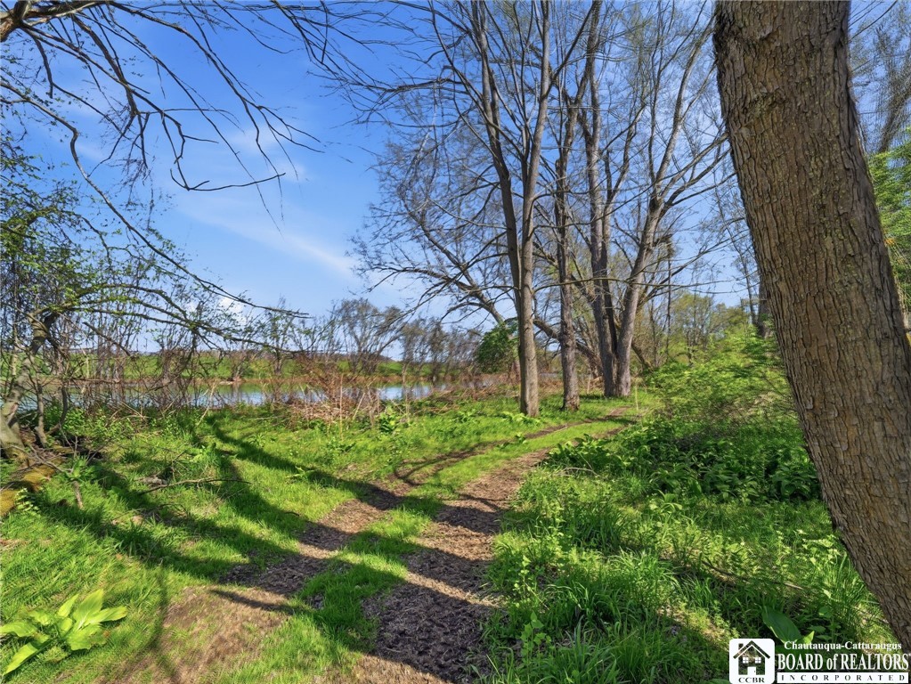 335 East Riverside Drive Olean, NY 14760 - Photo 32 of 45