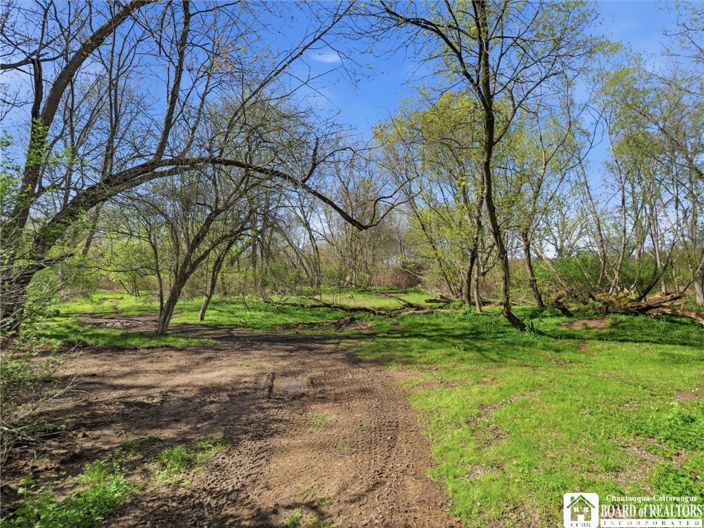 335 East Riverside Drive Olean, NY 14760 - Photo 34 of 45