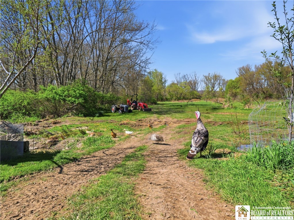 335 East Riverside Drive Olean, NY 14760 - Photo 40 of 45