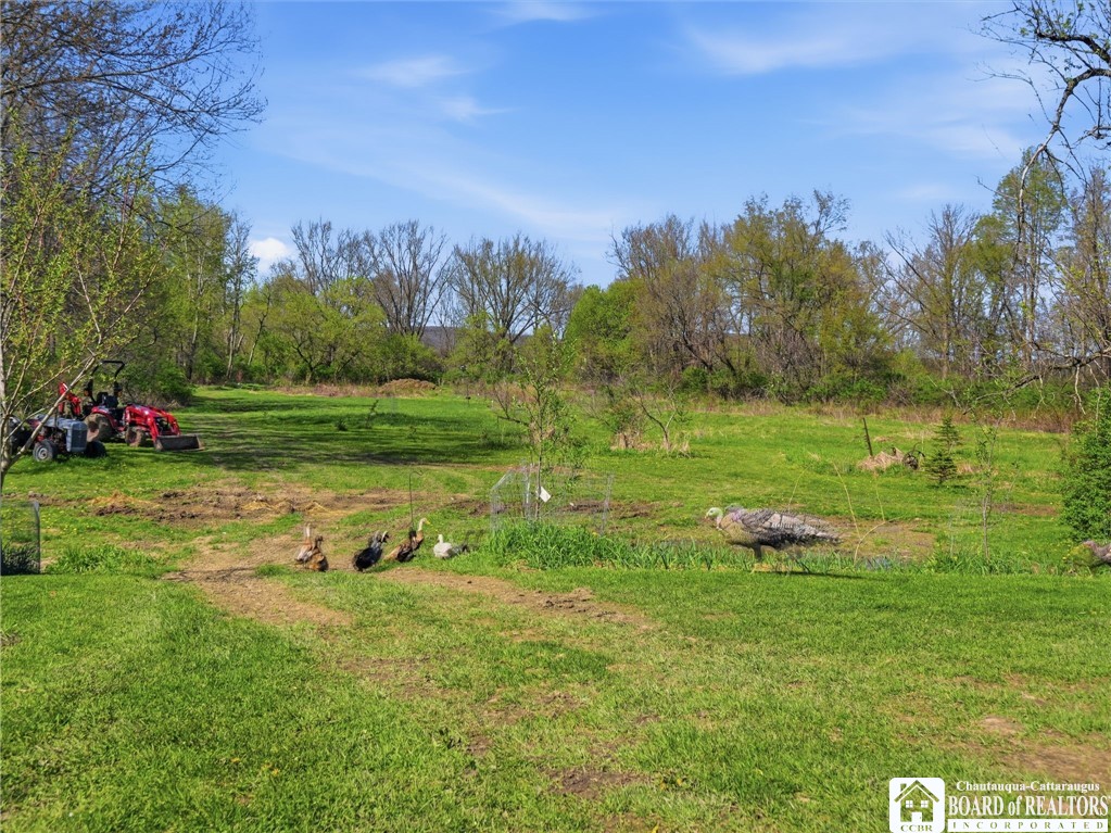 335 East Riverside Drive Olean, NY 14760 - Photo 41 of 45