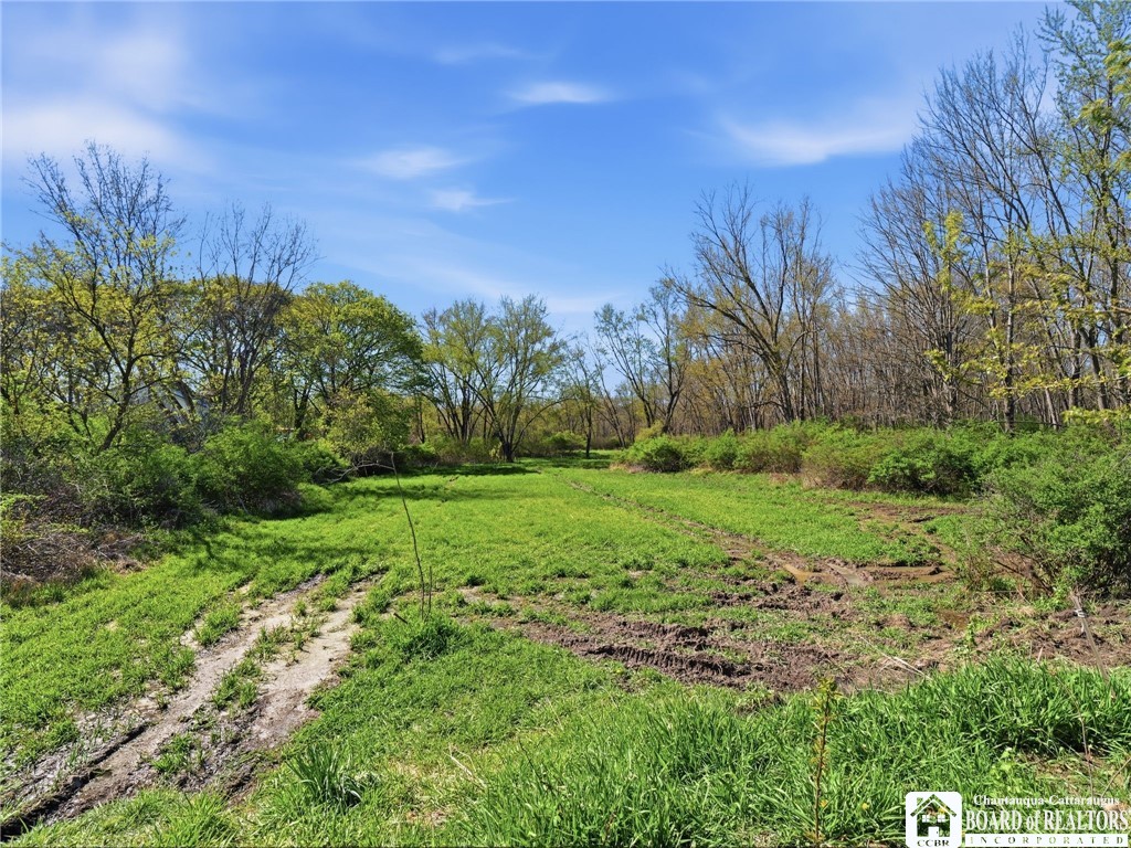 335 East Riverside Drive Olean, NY 14760 - Photo 42 of 45