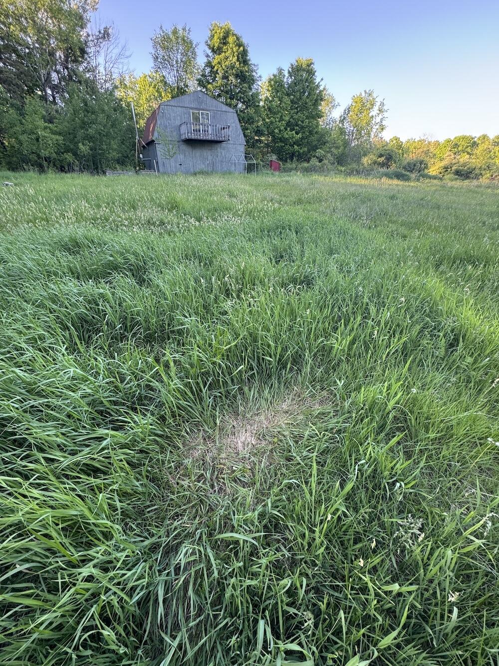 Vl Melcher Road Prescott, MI 48756 - Photo 5 of 65 4