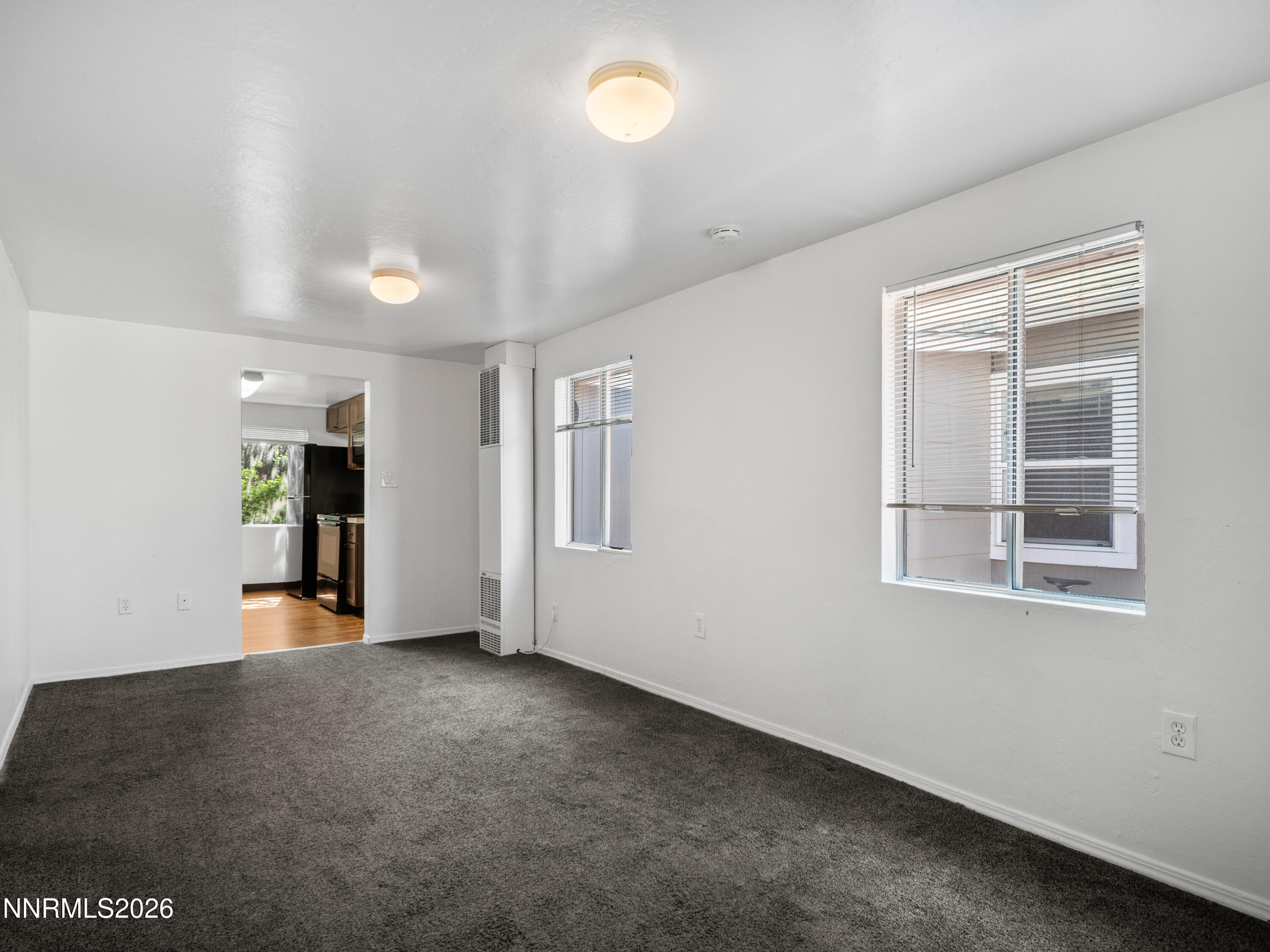 824 Locust Street Reno, NV 89502 - Photo 14 of 45 Photo-4