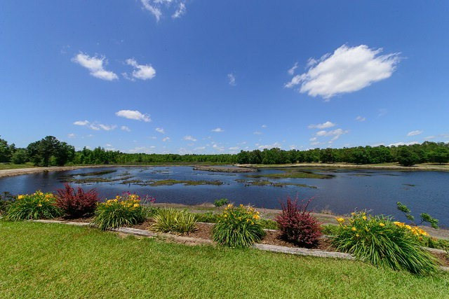 1280 Perron Garvin Road Wagener, SC 29164 - Photo 37 of 40