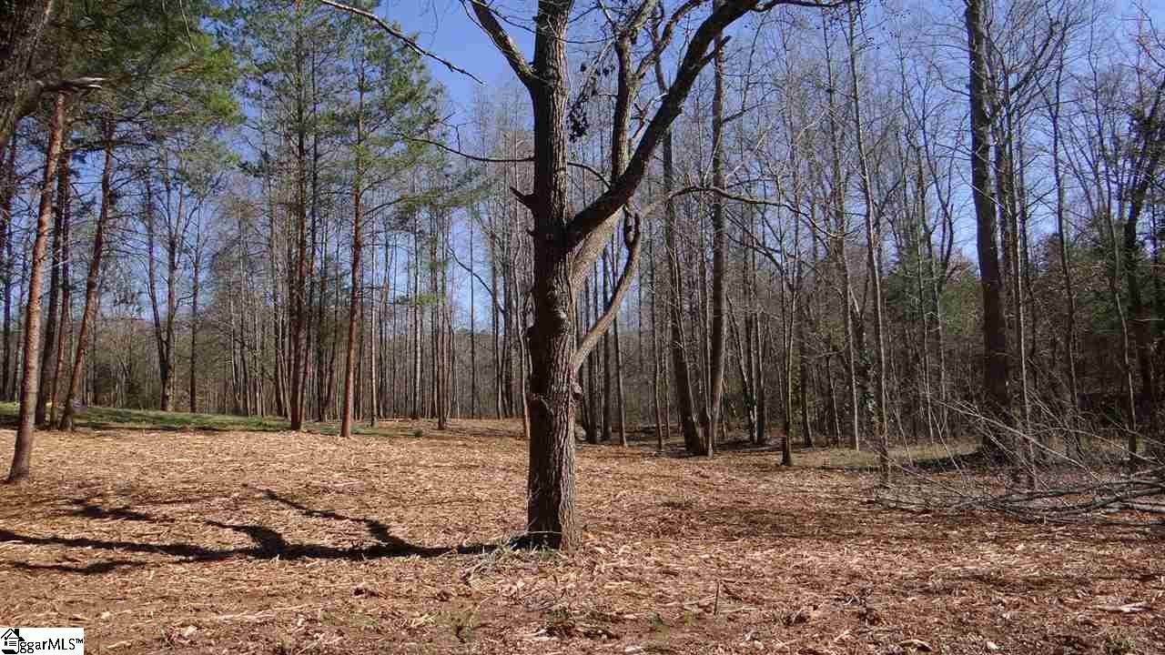0 Clearview Road, Unit TRACT A LOT 4 Travelers Rest, SC 29690 - Photo 2 of 23 Gallery Image 2