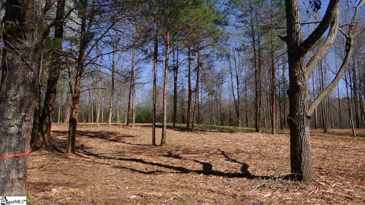 0 Clearview Road, Unit TRACT A LOT 4 Travelers Rest, SC 29690 - Photo 3 of 23 Gallery Image 3
