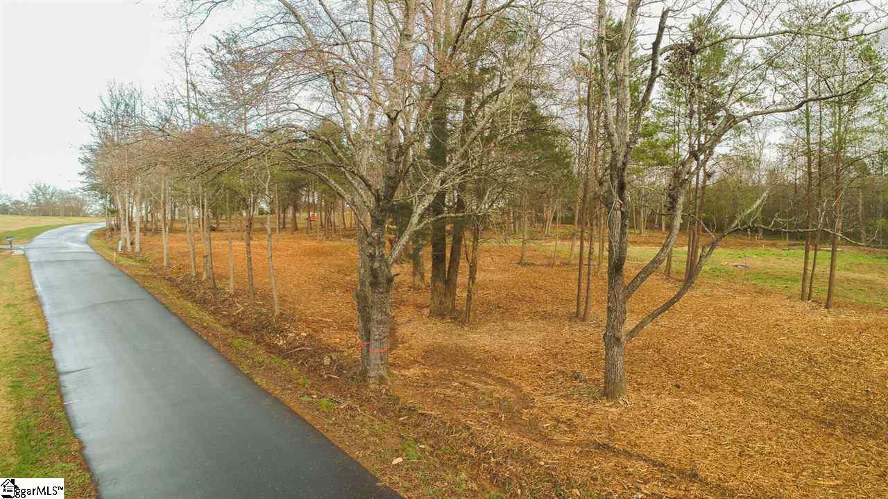 0 Clearview Road, Unit TRACT A LOT 4 Travelers Rest, SC 29690 - Photo 4 of 23 Gallery Image 4