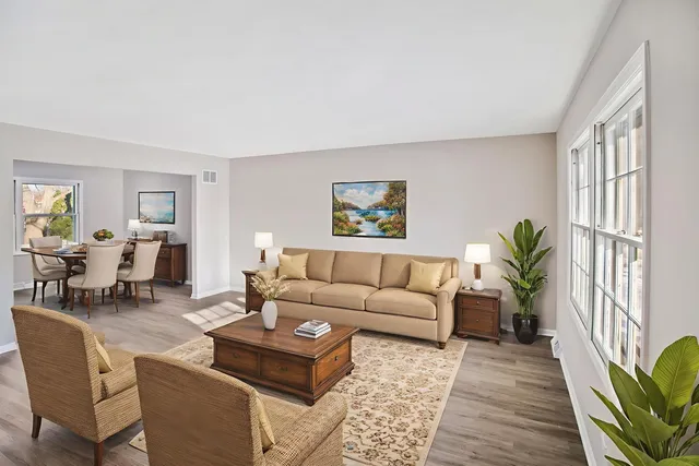 a living room with furniture potted plant next to a window and a potted plant