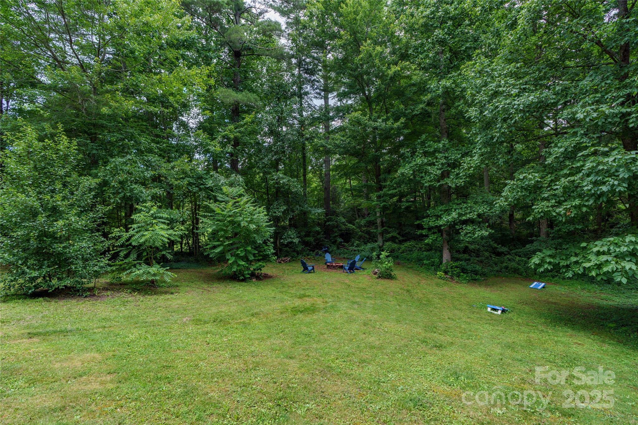 204 Terrys Gap Loop Road Fletcher, NC 28732 - Photo 30 of 30