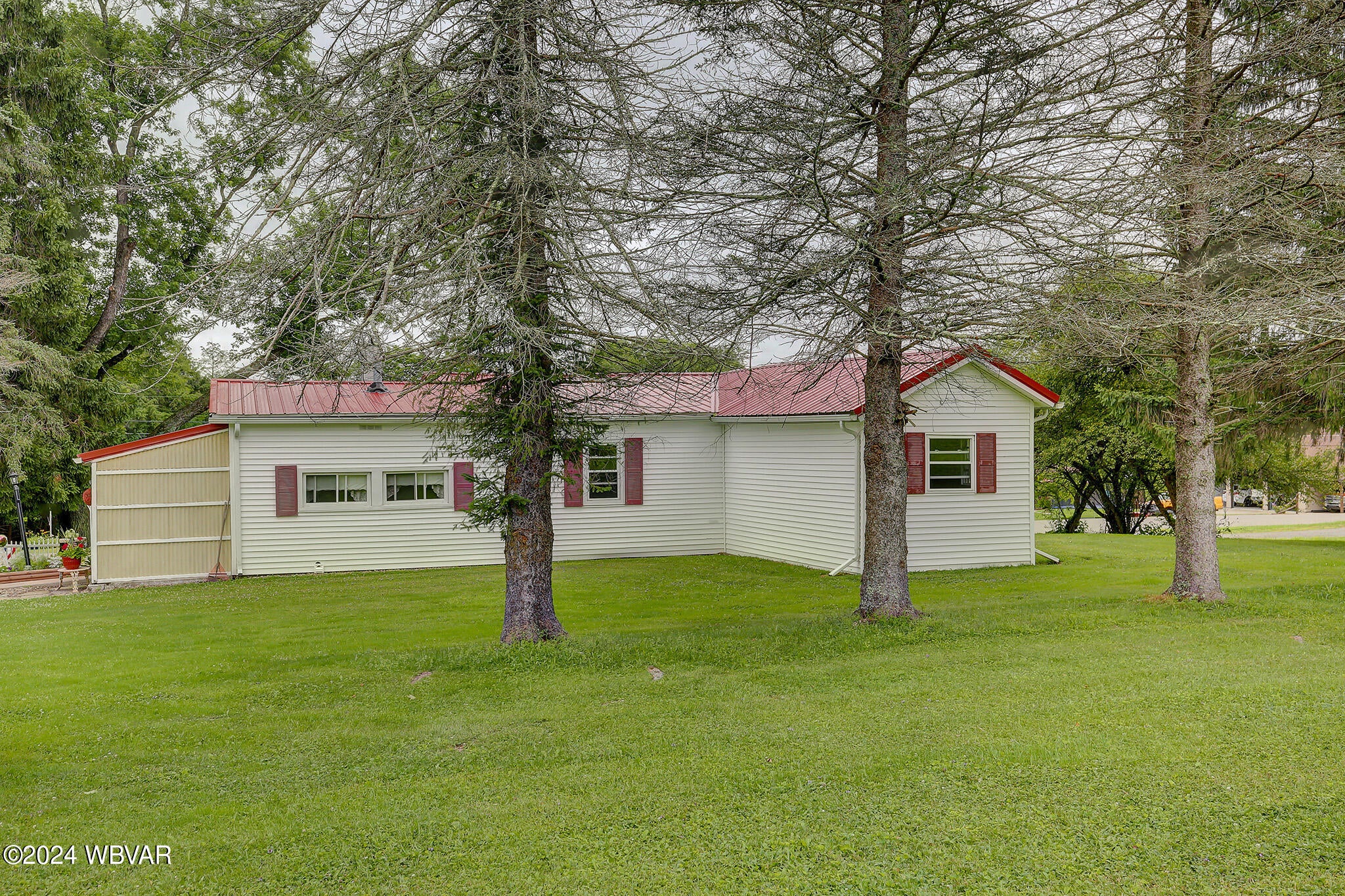 459 Bloss Mountain Road Liberty, PA 16930 - Photo 15 of 44 Backyard