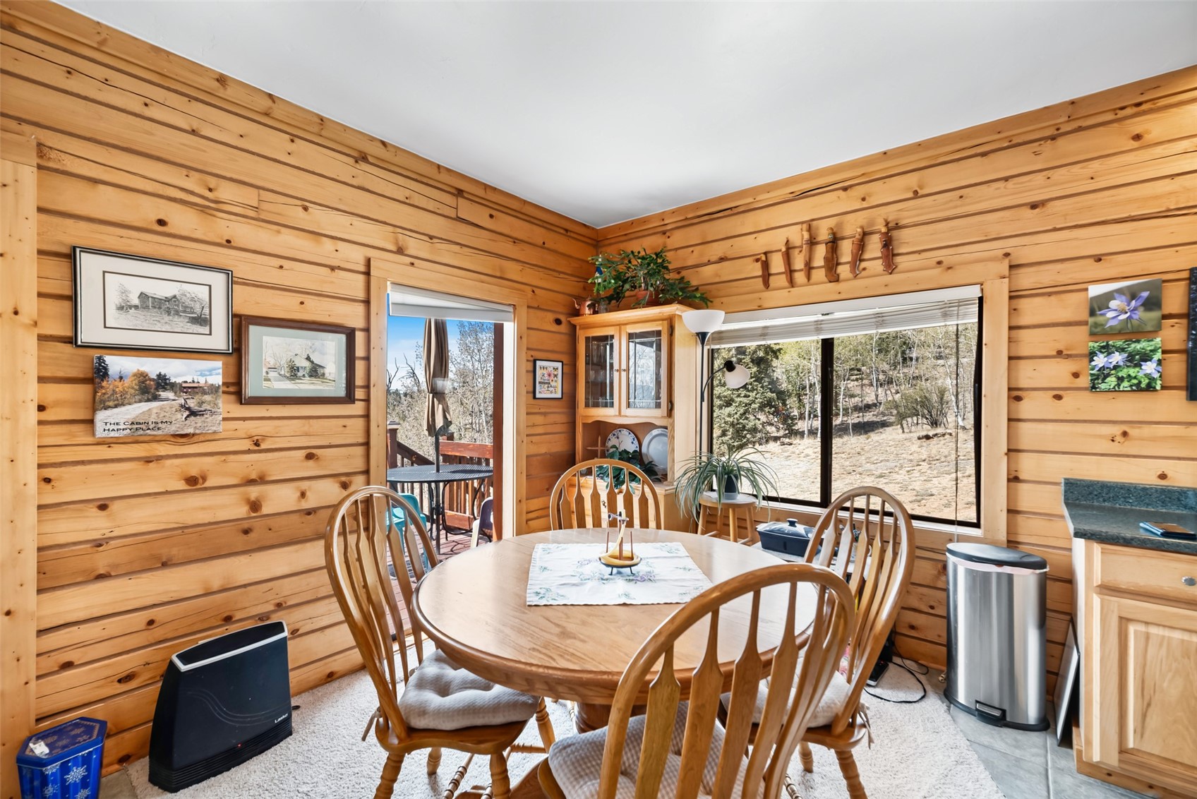 360 Musket Lane Como, CO 80456 - Photo 24 of 46
