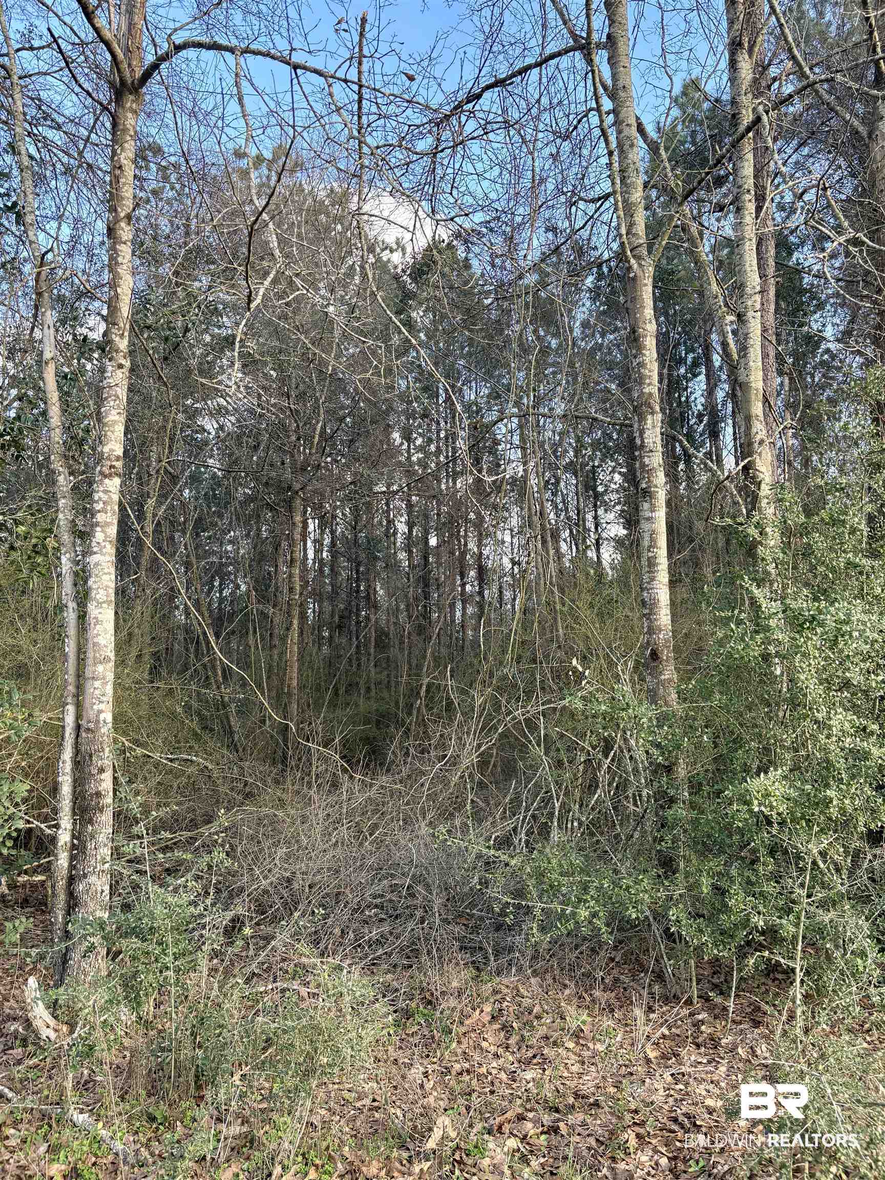 0 James Brooks Road Atmore, AL 36502 - Photo 5 of 16 View of landscape featuring a forest view