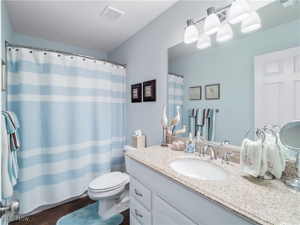 175 Vineyard Road Avon Lake, OH 44012 - Photo 26 of 42 Bathroom with hardwood / wood-style floors, vanity, a textured ceiling, and toilet