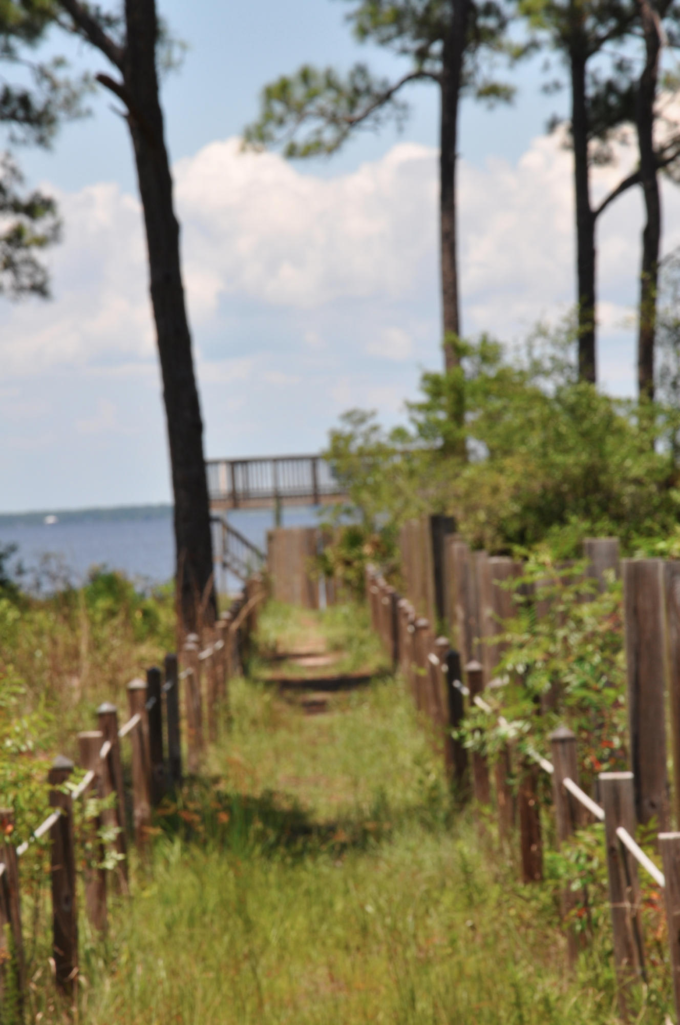 Lot 13 Hideaway Santa Rosa Beach Santa Rosa Beach, FL 32459 - Photo 4 of 9 Gallery Image 4