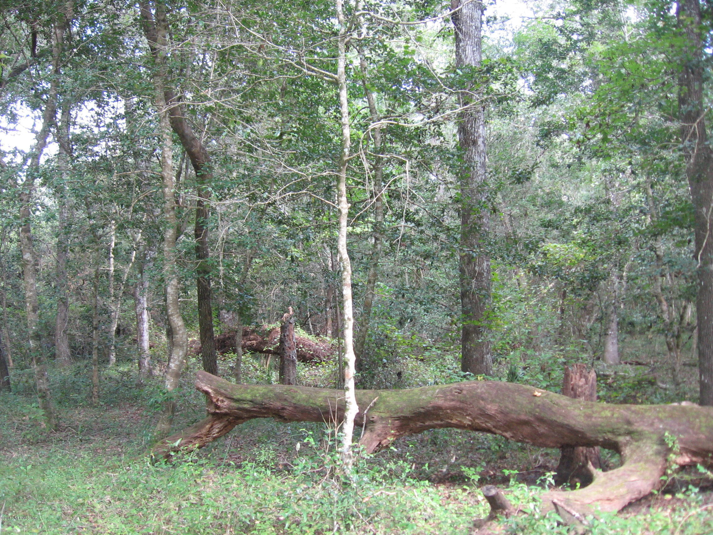 5701 Southwest 127th Micanopy, FL 32667 - Photo 10 of 12 IMG_0828