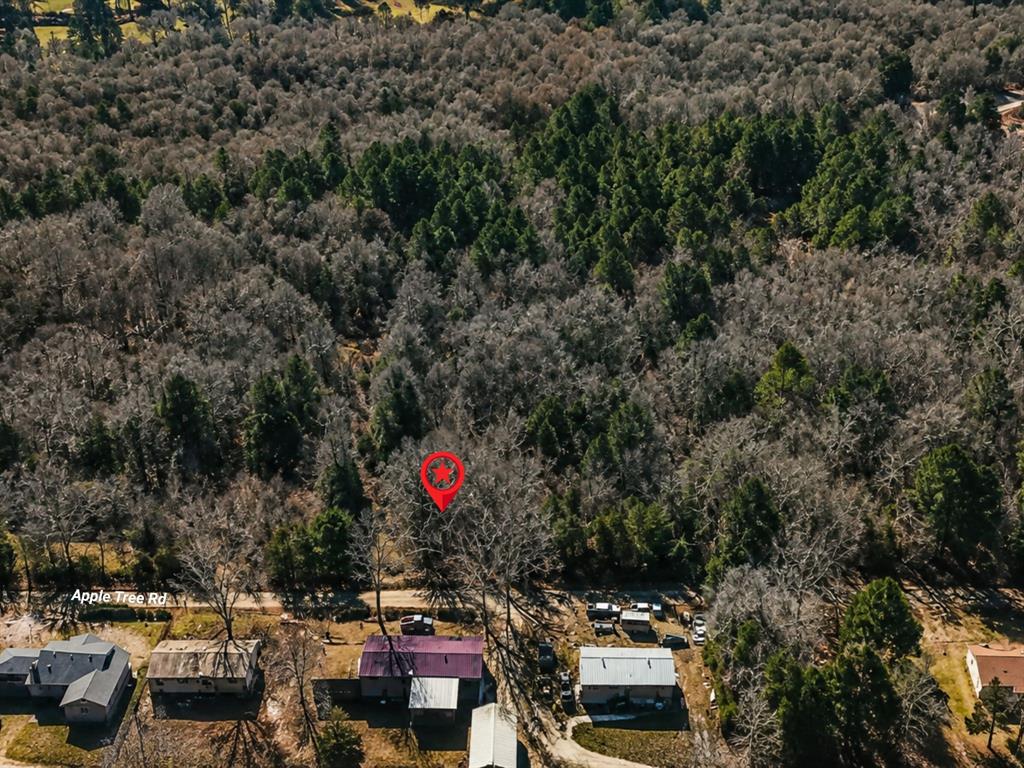 Tbd Apple Tree Road Gilmer, TX 75644 - Photo 13 of 13
