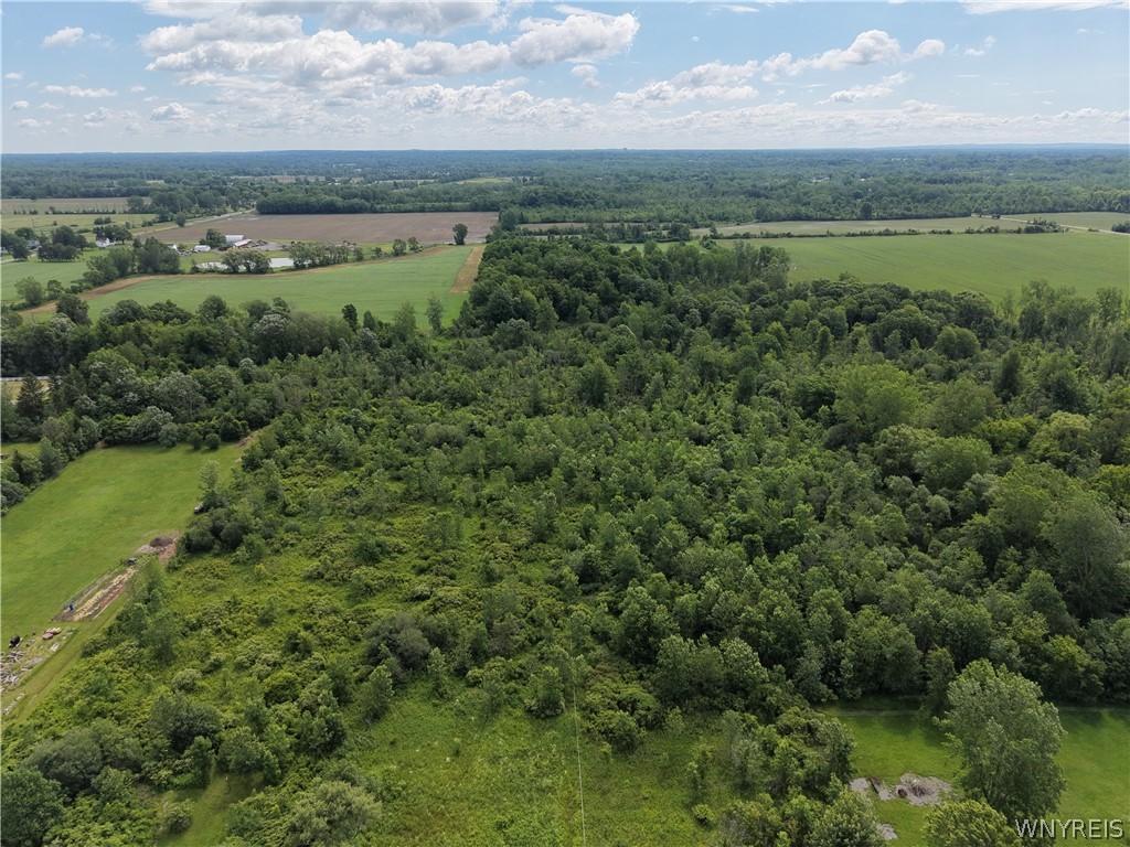 5797 Davison Road Newstead, NY 14001 - Photo 3 of 8