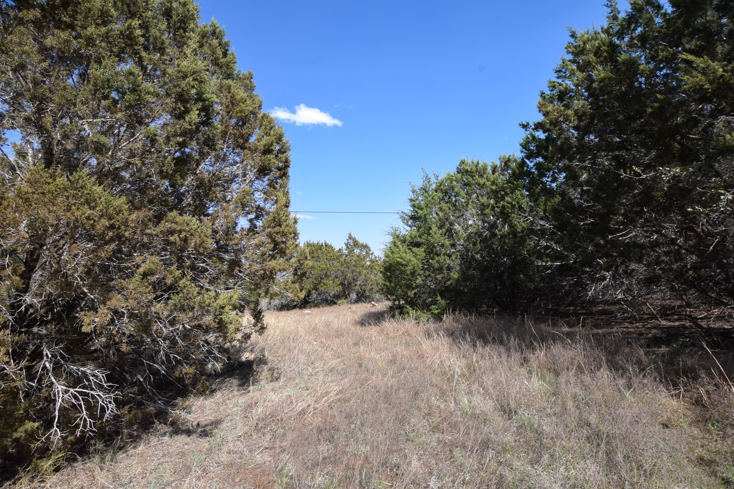 370 B Kothmann Road Dripping Springs, TX 78620 - Photo 27 of 31 Great flat building sites!