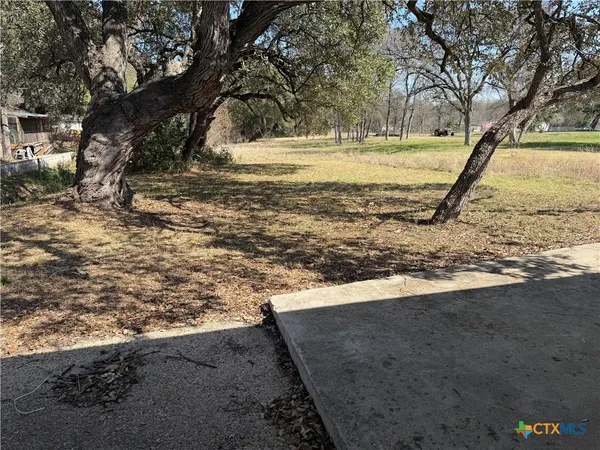 a view of a yard with a tree