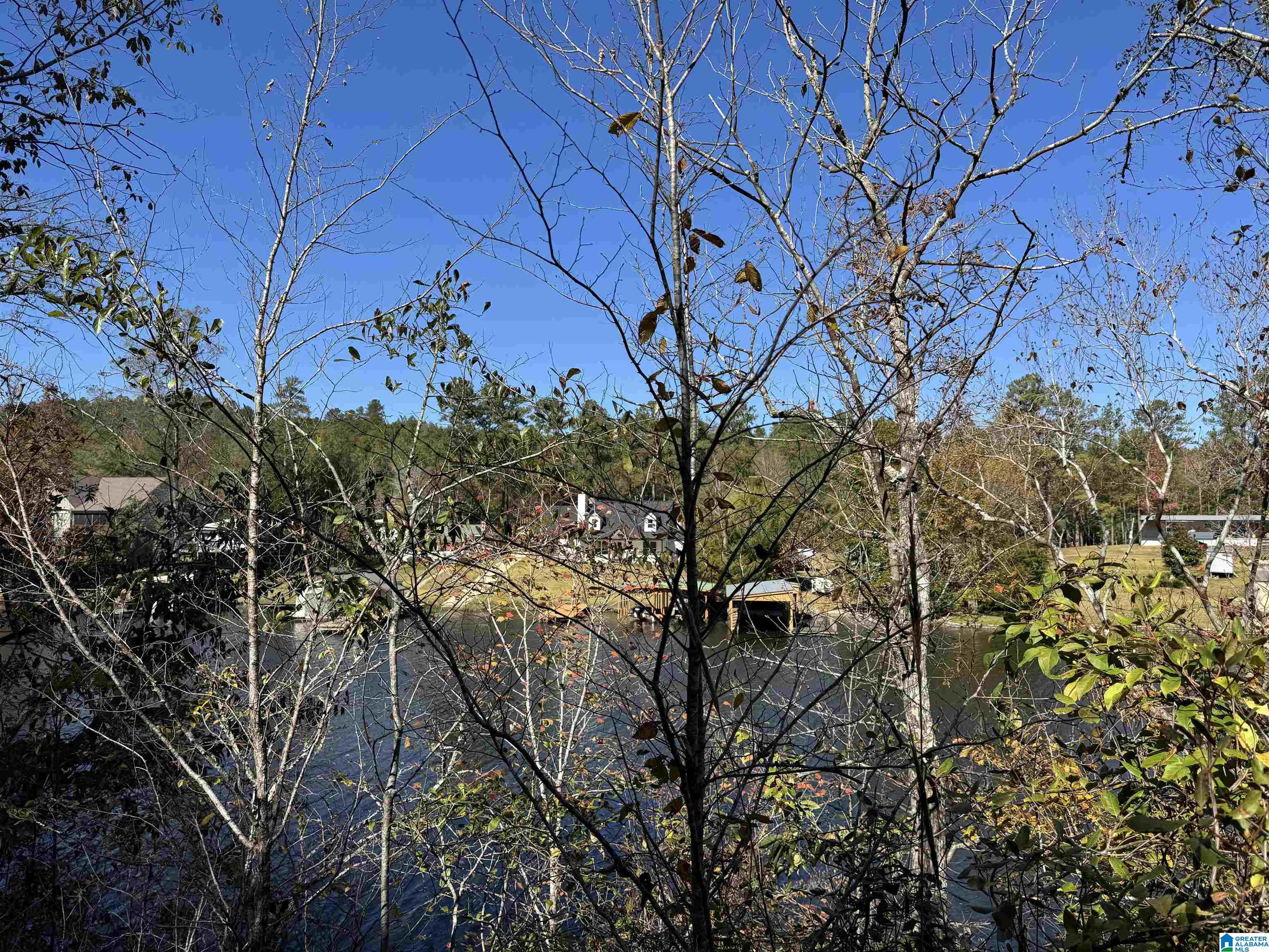 261 County Road Clanton, AL 35046 - Photo 2 of 8