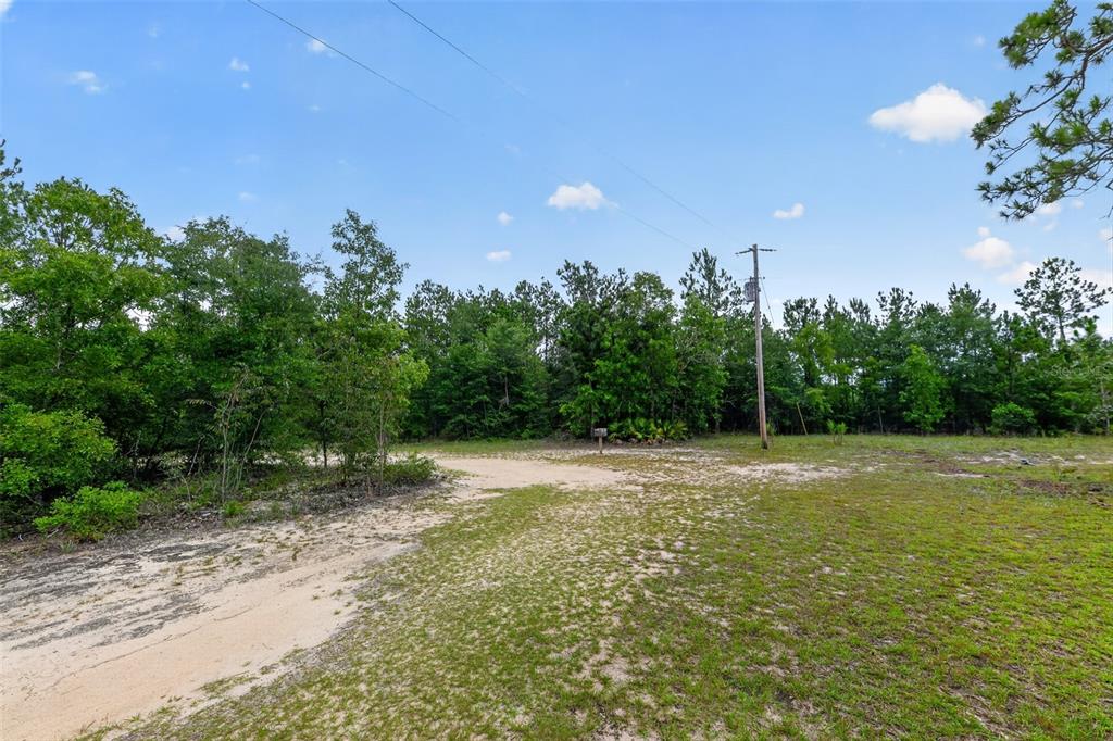 1675 Aspalaga Road Quincy, FL 32351 - Photo 43 of 44 Gallery Image 43