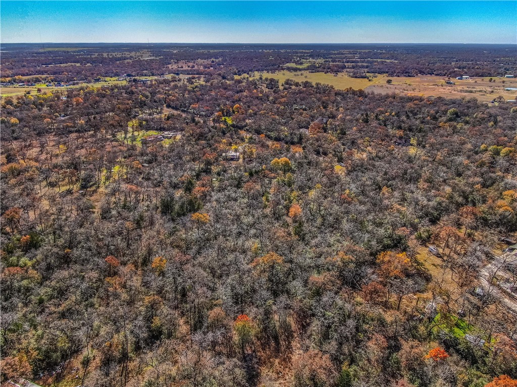 9782 Panther Creek Road Iola, TX 77861 - Photo 2 of 7