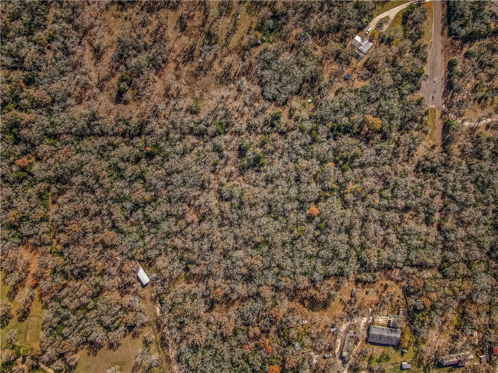 9782 Panther Creek Road Iola, TX 77861 - Photo 4 of 7