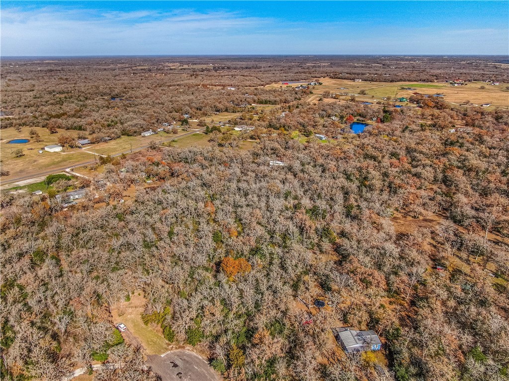 9782 Panther Creek Road Iola, TX 77861 - Photo 6 of 7