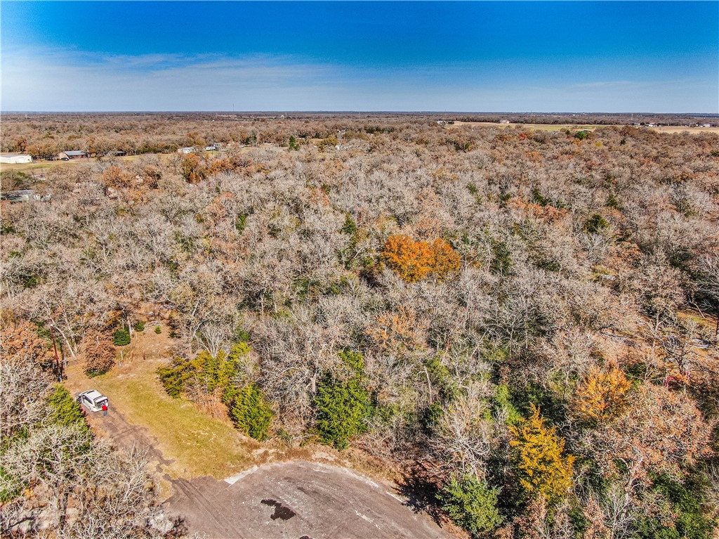 9782 Panther Creek Road Iola, TX 77861 - Photo 7 of 7