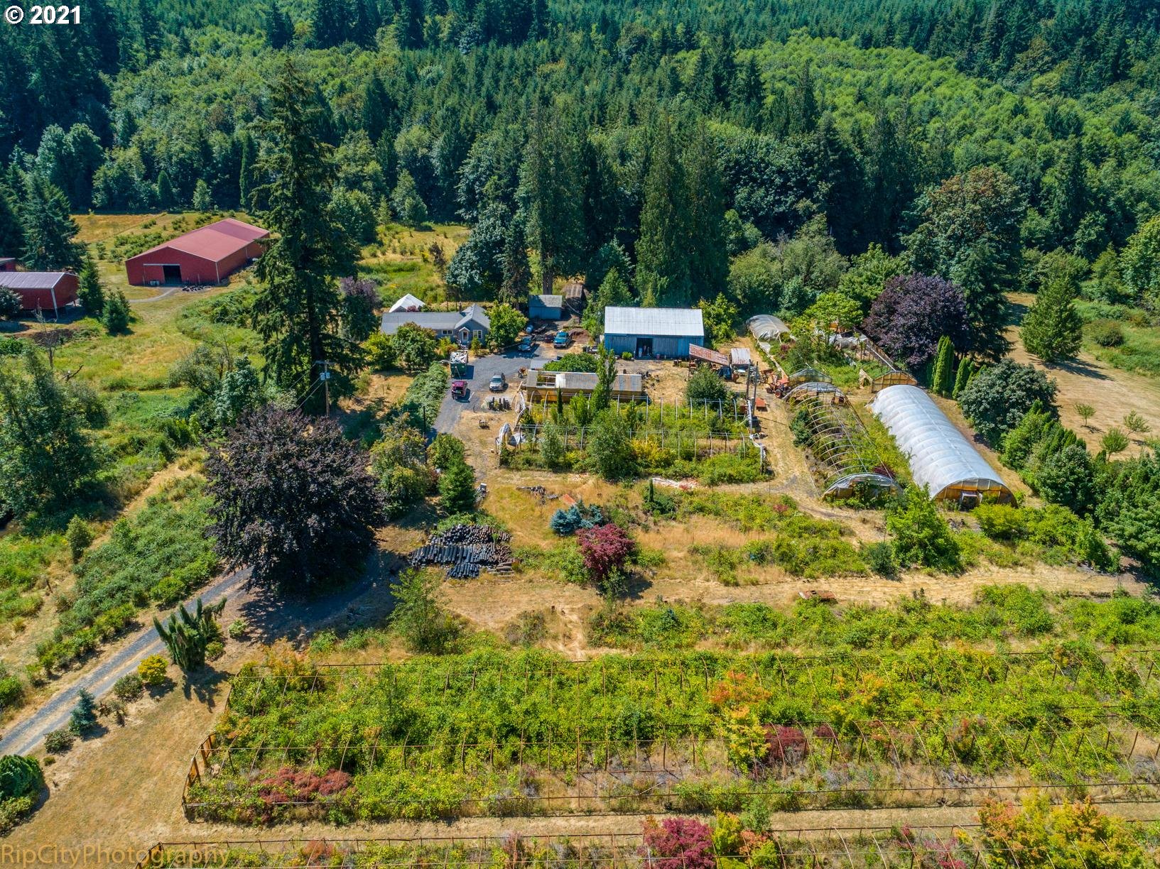 31612 Pittsburg Road St. Helens, OR 97051 - Photo 1 of 31 Gallery Image 1