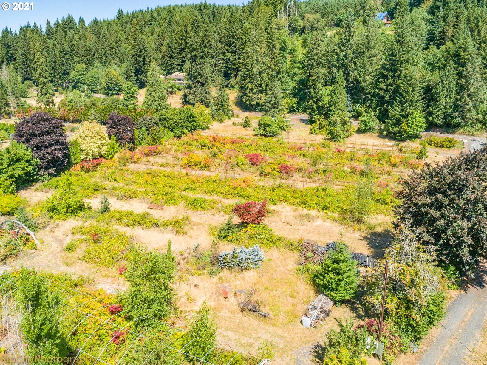 31612 Pittsburg Road St. Helens, OR 97051 - Photo 17 of 31 Gallery Image 17
