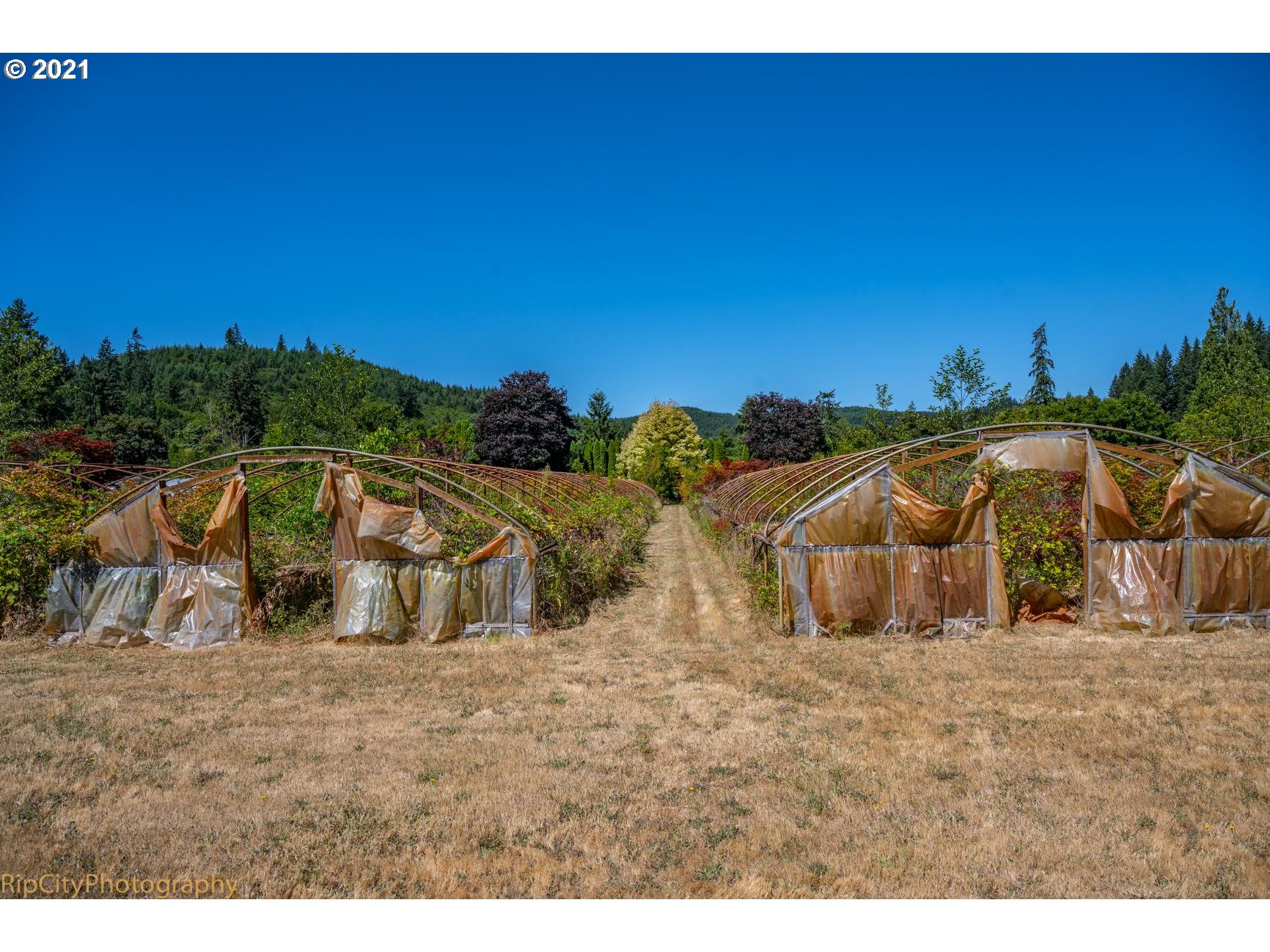 31612 Pittsburg Road St. Helens, OR 97051 - Photo 24 of 31 Gallery Image 24