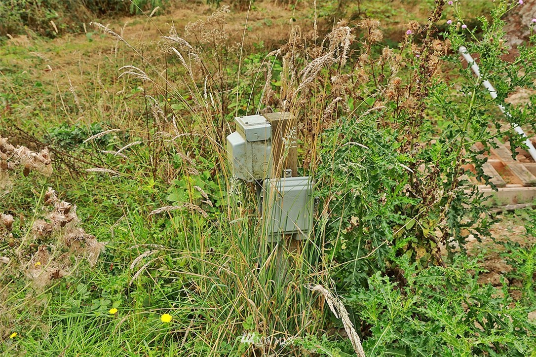 377 Houston Road Coupeville, WA 98239 - Photo 14 of 22 Gallery Image 14