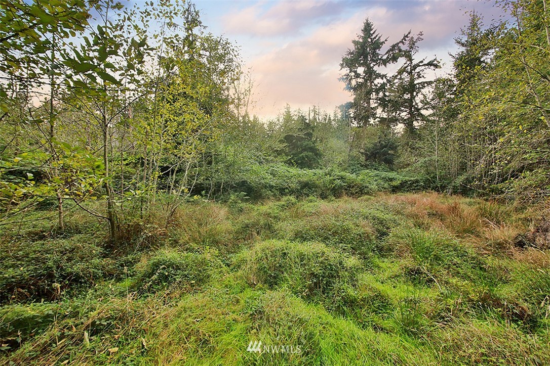 377 Houston Road Coupeville, WA 98239 - Photo 17 of 22 Gallery Image 17