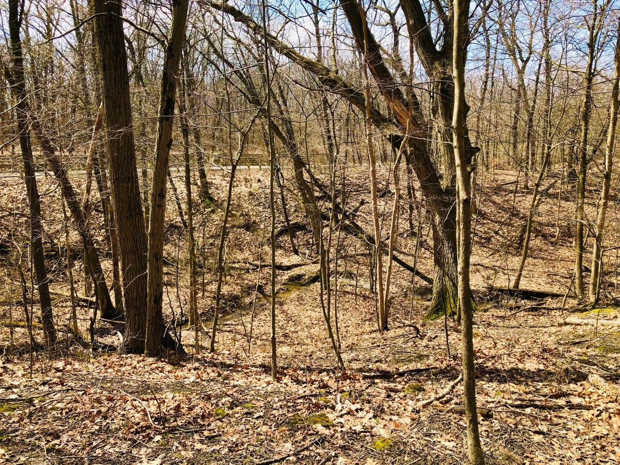 0 North Of Rr E Of Liverpool Road Hobart, IN 46342 - Photo 2 of 18 a backyard of a house with lots of green space