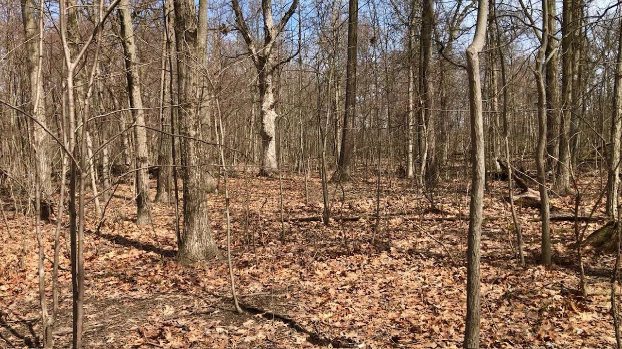 0 North Of Rr E Of Liverpool Road Hobart, IN 46342 - Photo 3 of 18