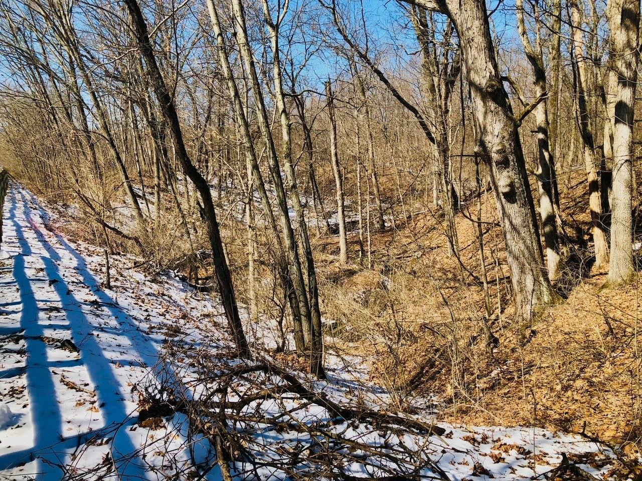 0 North Of Rr E Of Liverpool Road Hobart, IN 46342 - Photo 5 of 18 a picture of trees
