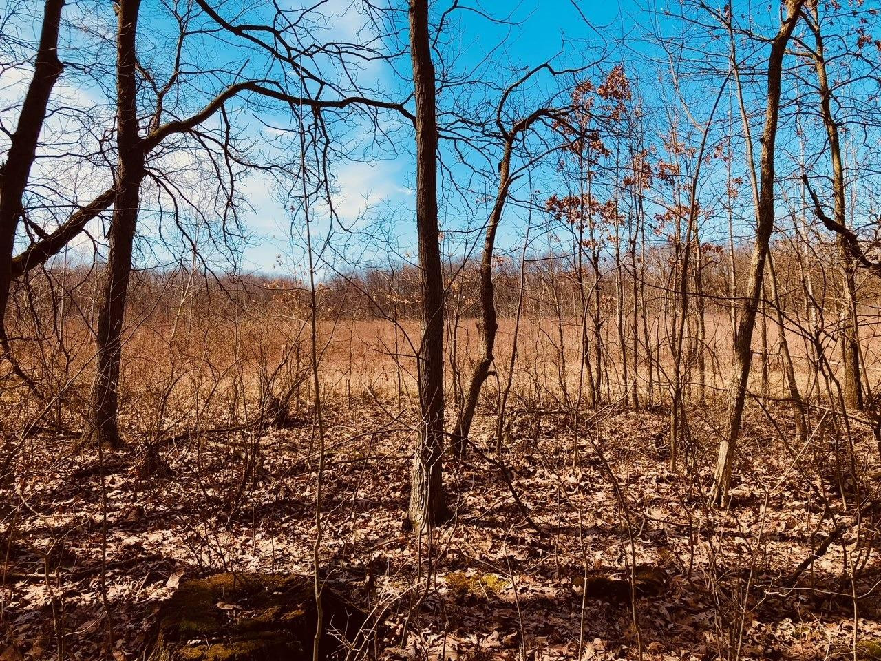 0 North Of Rr E Of Liverpool Road Hobart, IN 46342 - Photo 7 of 18 a view of a yard covered with snow