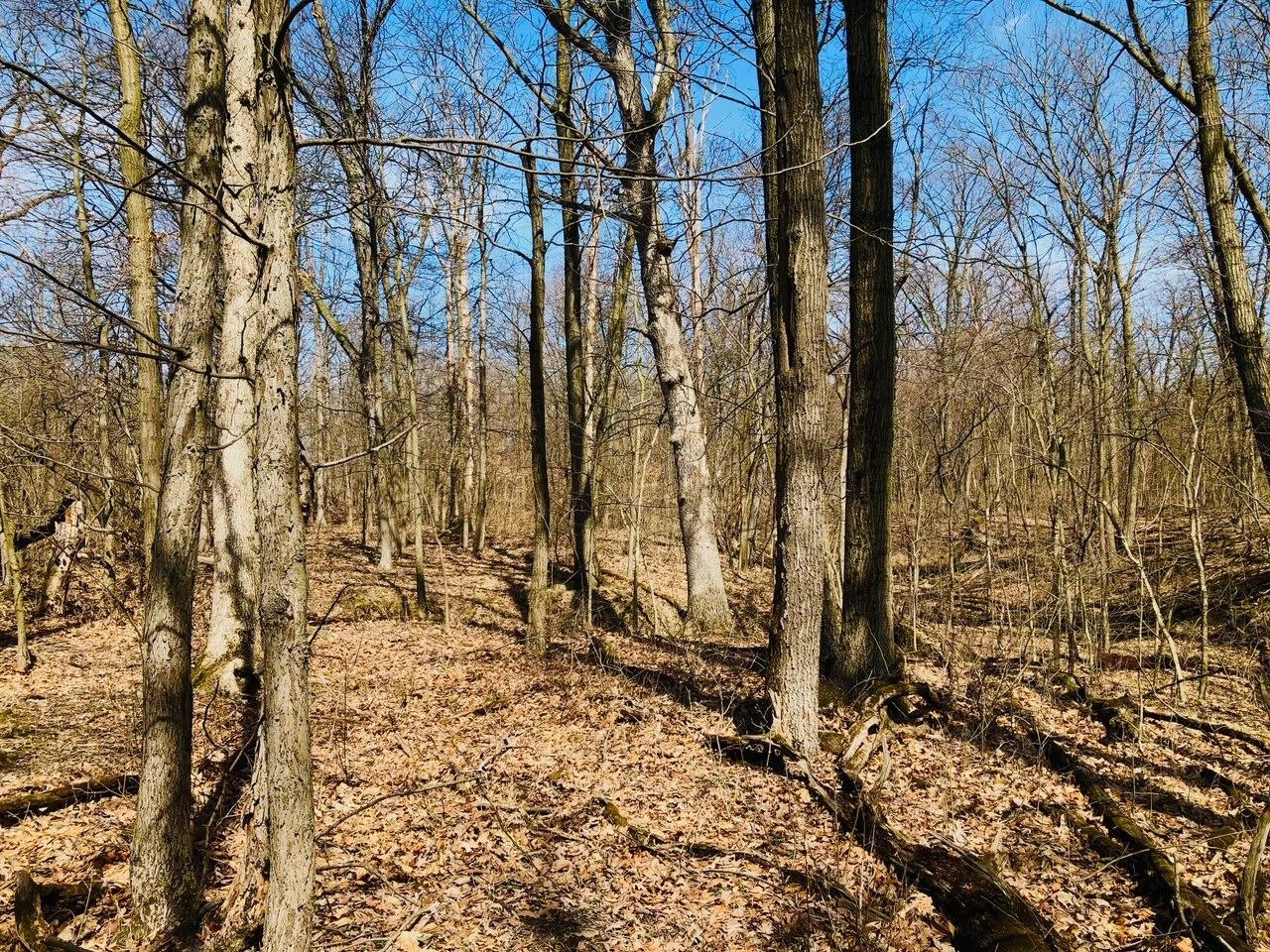 0 North Of Rr E Of Liverpool Road Hobart, IN 46342 - Photo 8 of 18 a view of a backyard of the house