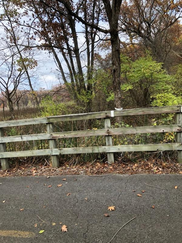0 North Of Rr E Of Liverpool Road Hobart, IN 46342 - Photo 10 of 18 a view of a large yard with large trees