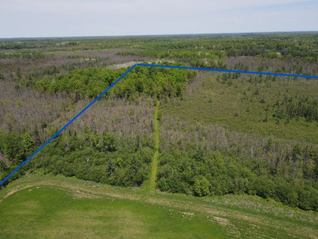 W17810 Eland Road Wittenberg, WI 54499 - Photo 26 of 89